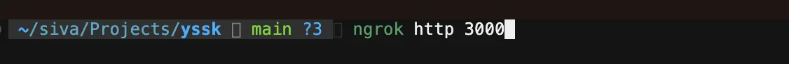 Starting an ngrok tunnel for a local development server on port 3000