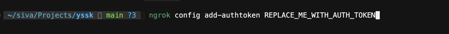 Saving an ngrok authtoken in the local configuration